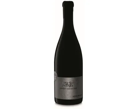 Weinviertel DAC Grüner Veltliner Edition Peter Keller Black Edition Weingut Ebner-Ebenauer (2023) – Weisswein, Österreich...