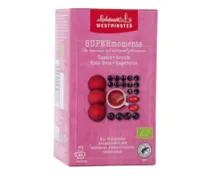 WESTMINSTER SuperMoments Tee, Cassis-Aronia-Rote Beete