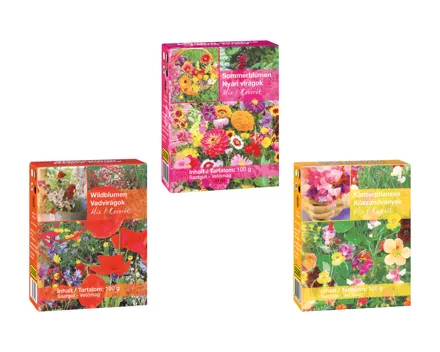 Wild- und Sommerblumenmischung