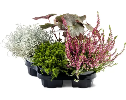 Zauberset Herbst, 4er-Set