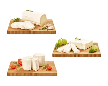 Ziegenkäse Spezialitäten (Aktion nur in der Westschweiz gültig)