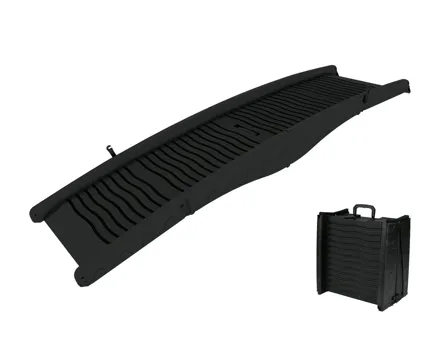 Zoofari Hunderampe (Aktion nur in der Deutschschweiz gültig)