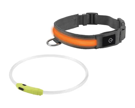 Zoofari LED-Hundeleuchtband/-halsband