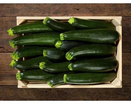 Zucchetti