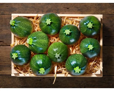 Zucchini rund