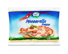 Züger Fresca Mozzarella gerieben