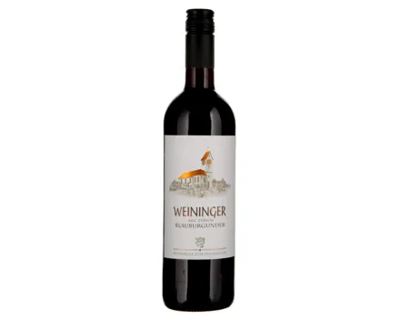 Zürich AOC Blauburgunder Weininger Weinkeller zum Stauffacher (2023) – Rotwein, Schweiz (0.75l)