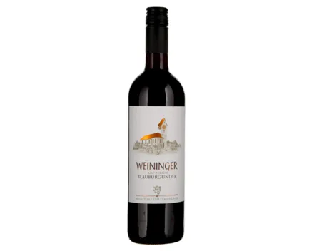 Zürich AOC Blauburgunder Weininger Weinkeller zum Stauffacher (2025) – Rotwein, Schweiz (0.75l)