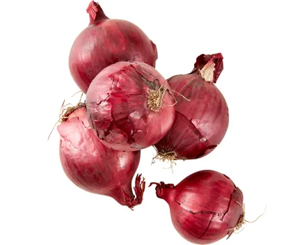 Zwiebeln rot