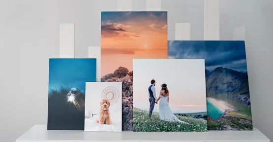 15% Rabatt auf Fotobücher, Wandbilder, Kalender & Prints