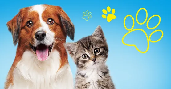 15% Rabatt bei QUALIPET