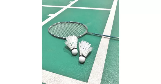 1x Badmintonplatzmiete inkl. Schläger und Bälle sowie Mittagsmenü