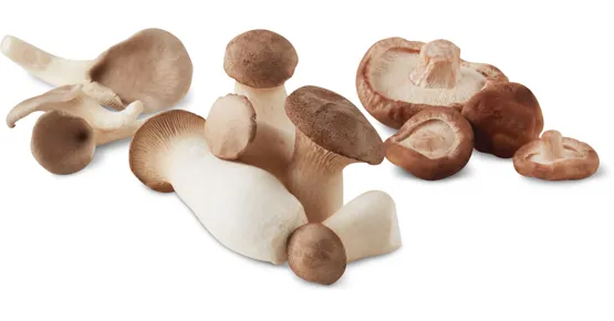 Alle Migros Bio Edelpilze