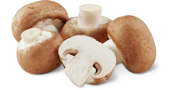 Champignons braun