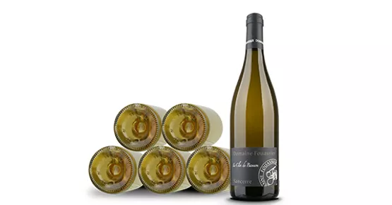 Domaine Fouassier - Aufgepasst...lebendiger Wein!