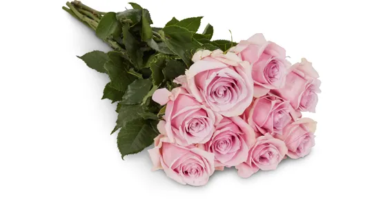 Edelrosen, Fairtrade