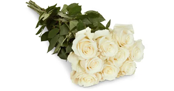 Edelrosen, Fairtrade