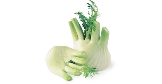 Fenchel
