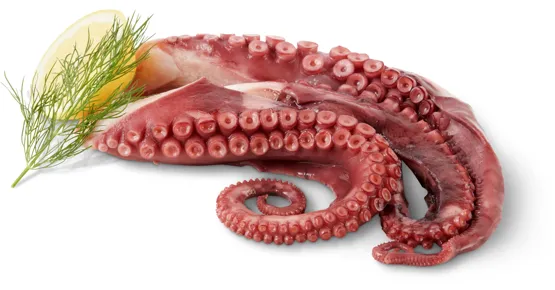 Fruits de mer Pulpo-Tentakel