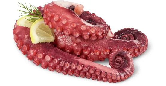 Fruits de Mer Pulpo-Tentakel