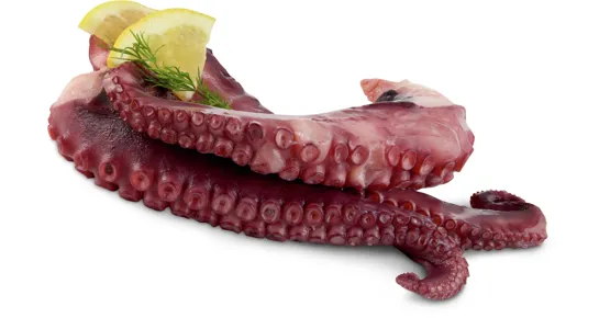 Fruits de Mer Pulpo-Tentakel
