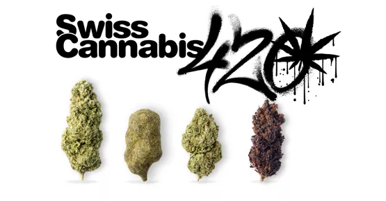 HAPPY 420! Erhalte 42% Rabatt auf Schweizer CBD