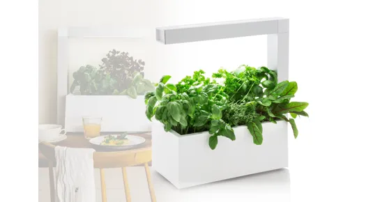 Indoor-Gewächshaus - 36% Rabatt - daydeal.ch - ab 05.04.2016 - Deal.ch