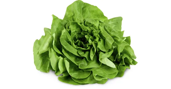Kopfsalat grün