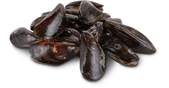 M-Classic frische Miesmuscheln, MSC