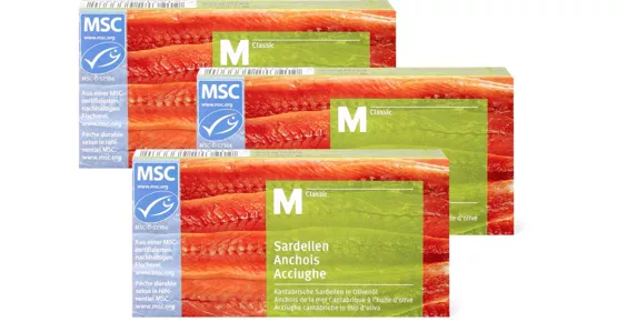 M-Classic-Sardellen, -Sardinen oder -Makrelen im 3er-Pack