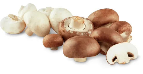 Migros Bio Champignons