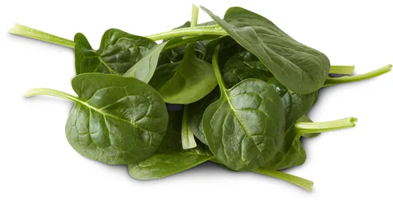Migros Bio Spinat