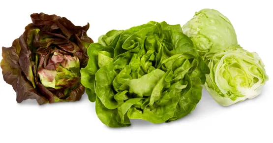 Migros Bio- und Demeter-Blattsalate