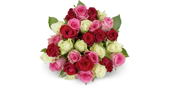 Minirosen, Fairtrade