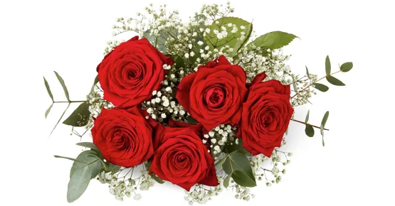 Premiumstrauss Valentin