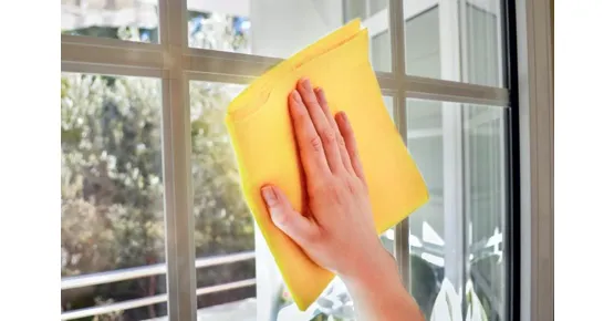 Professionelle Fensterreinigung