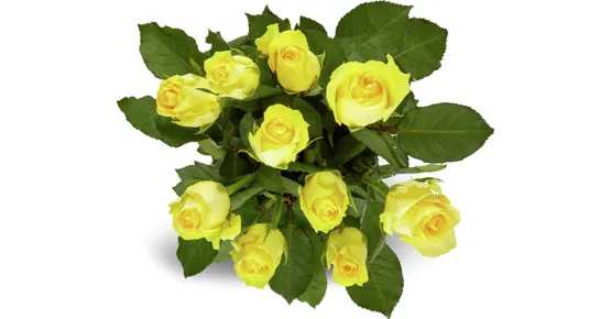 Rosen Grande, Fairtrade