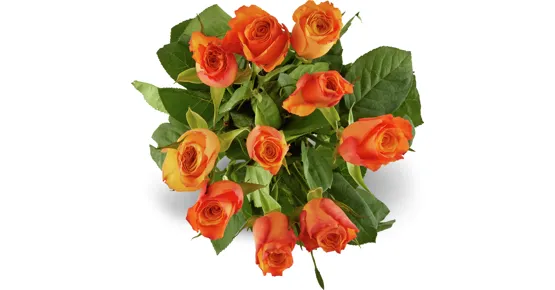 Rosen Grande, Fairtrade