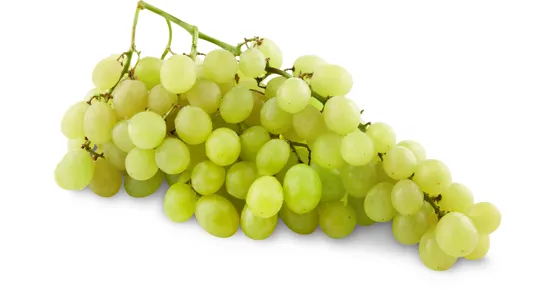 Sélection Trauben Uva Italia