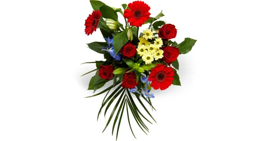 Strauss Surprise midi