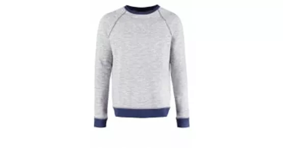 Sweatshirt - blue - meta.domain