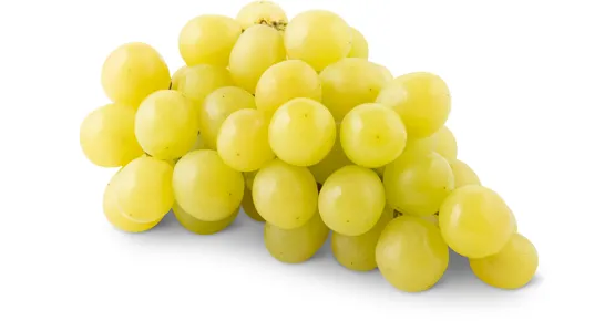 Trauben Uva Italia