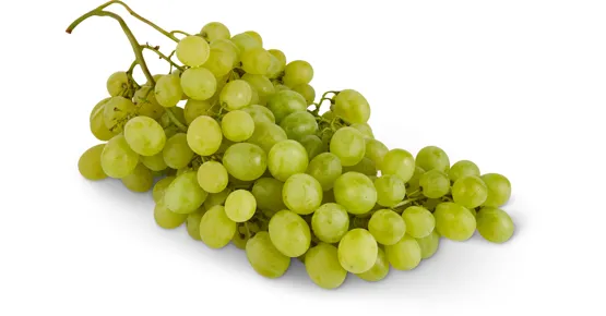 Trauben Vittoria
