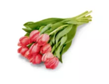 10 Schweizer Tulpen, verschiedene Farben, pro Strauss