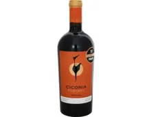 6x Ciconia Reserva Tinto 75 cl