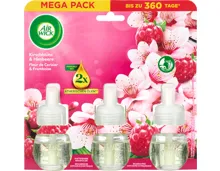Air Wick Duftstecker Kirschblüte & Himbeere