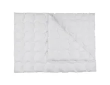 ALBIS Doppeldaunenduvet, 200 x 210 cm