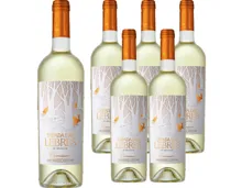 Alentejano VR Tapada das Lebres - Premium Branco Herdade das Mouras 6x 75cl (2023) – Weisswein, Portugal (0.75l)