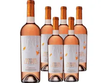 Alentejano VR Tapada das Lebres - Premium Rosé Herdade das Mouras 6x 75cl (2024) – Roséwein, Portugal (0.75l)