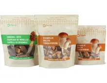 Alle M-Classic-Steinpilze und -Morcheln getrocknet